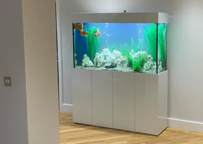 Free Standing Aquarium in White Gloss (84)