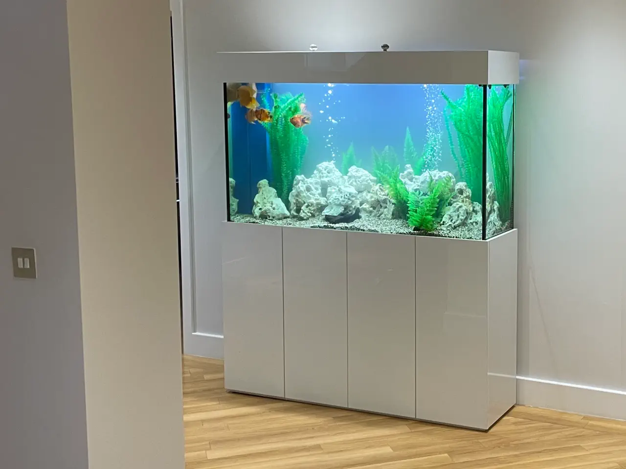 AS84_Free-standing-aquarium-white-gloss