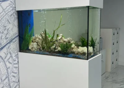 Peninsula Aquarium (86)