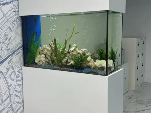 Peninsula Aquarium (86)