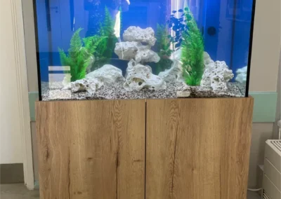 Freestanding Aquarium with Oak Cabinet (90)