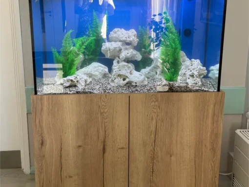 Freestanding Aquarium with Oak Cabinet (90)