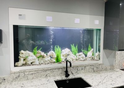Kitchen Wall Aquarium (96)