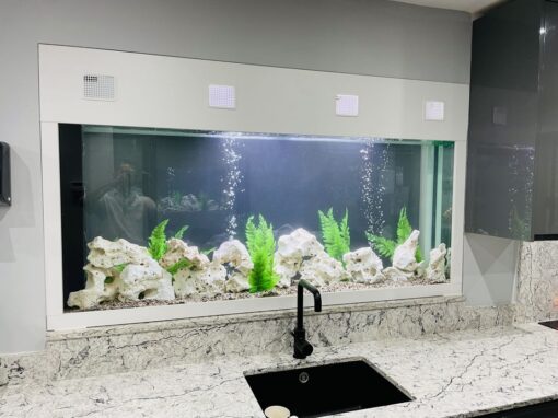 Kitchen Wall Aquarium (96)
