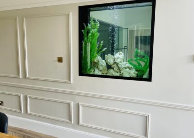 Partition Wall Aquarium in Surrey (95)