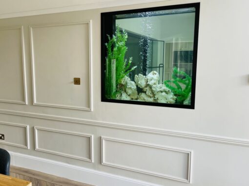 Partition Wall Aquarium in Surrey (95)