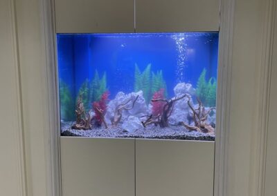 Deep Wall Aquarium (97)