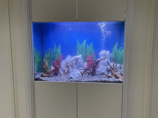 Deep Wall Aquarium (97)